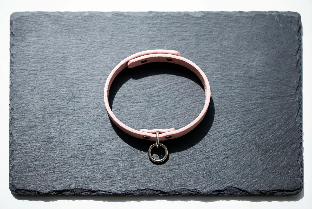 The Pink Collar — original feminisation fiction illustration