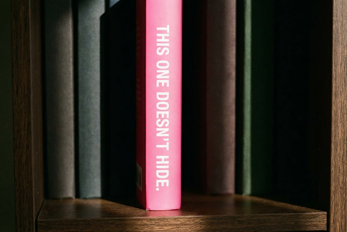 Top 20 best-selling sissy fiction novels ranked on Amazon